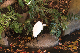 image0296