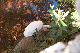image0297