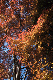 image0298