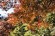 image0299