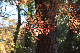 image0300