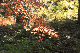 image0302