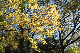 image0308