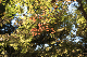 image0310