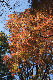 image0312