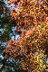 image0313