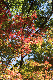 image0324