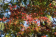 image0325
