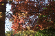 image0331