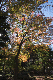 image0334