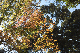 image0336