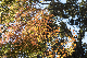 image0337