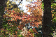 image0338