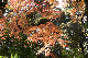 image0339