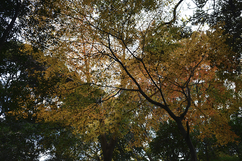 image0105