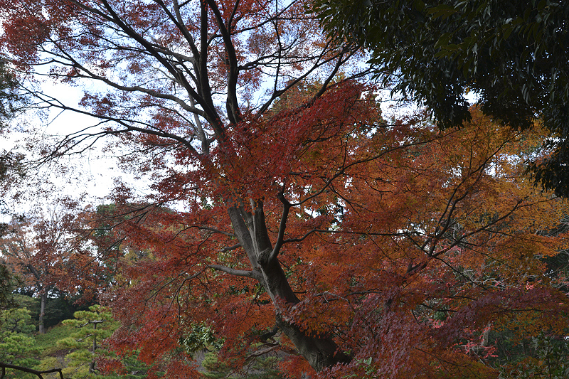 image0107