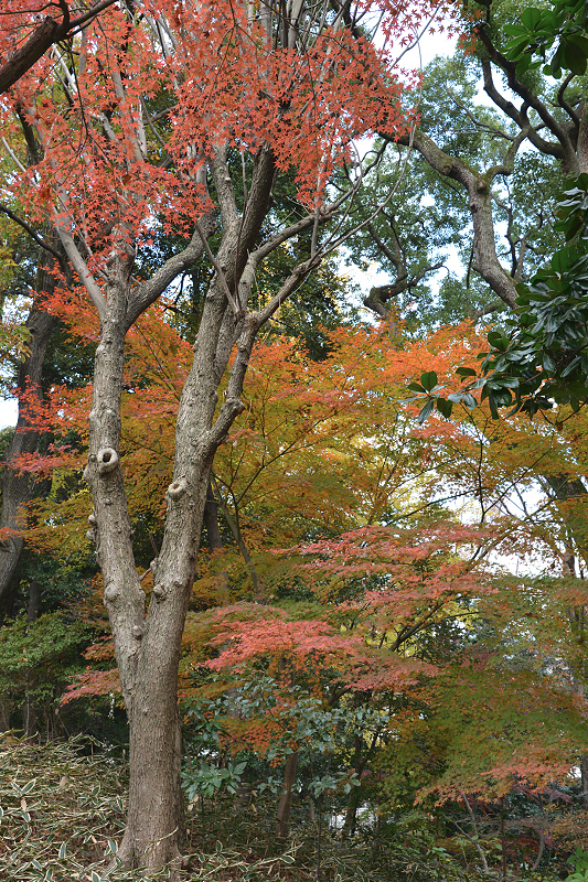 image0109