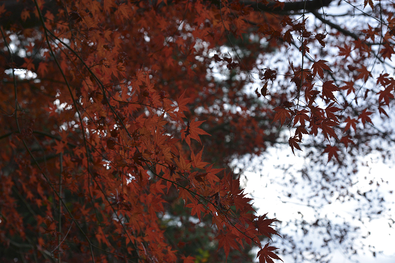 image0110