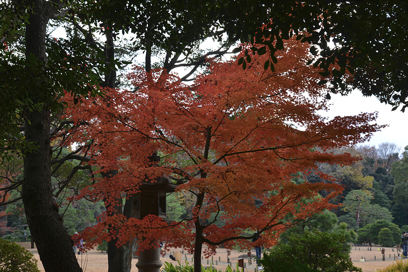 image0112