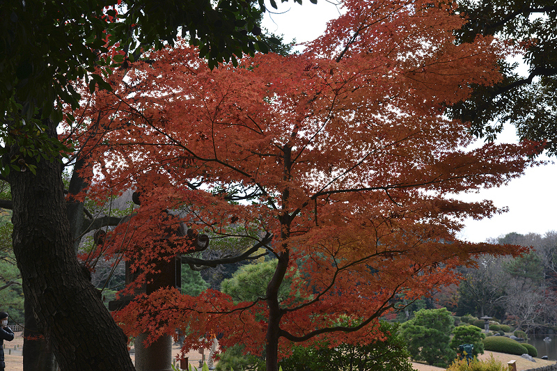 image0113