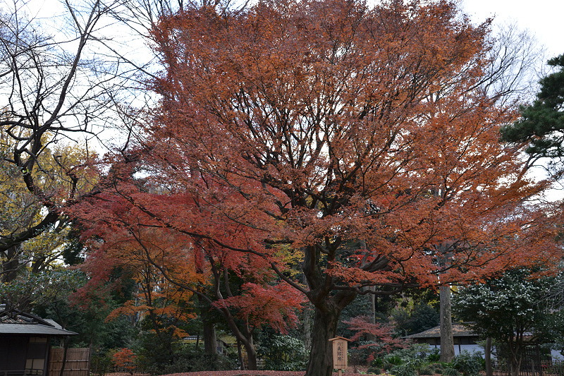 image0114