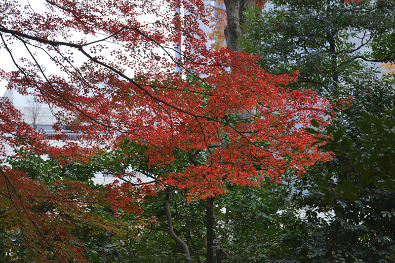 image0118
