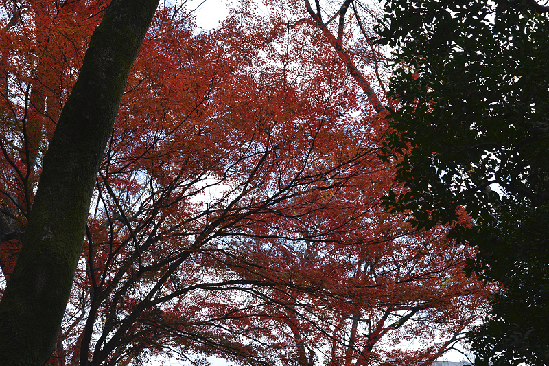 image0119