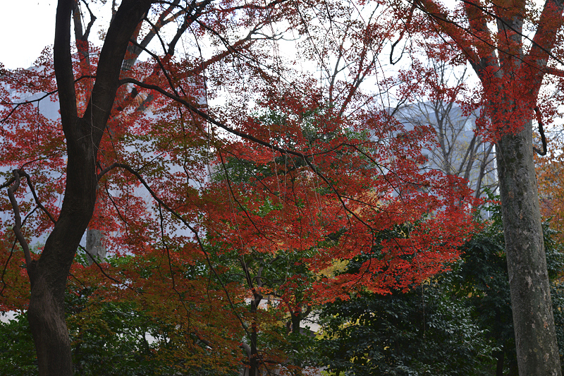 image0120