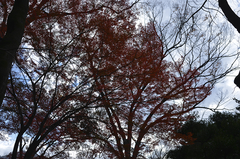 image0121