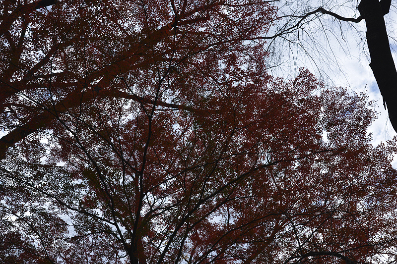 image0126