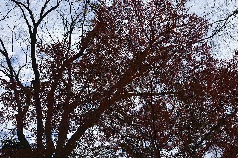 image0127