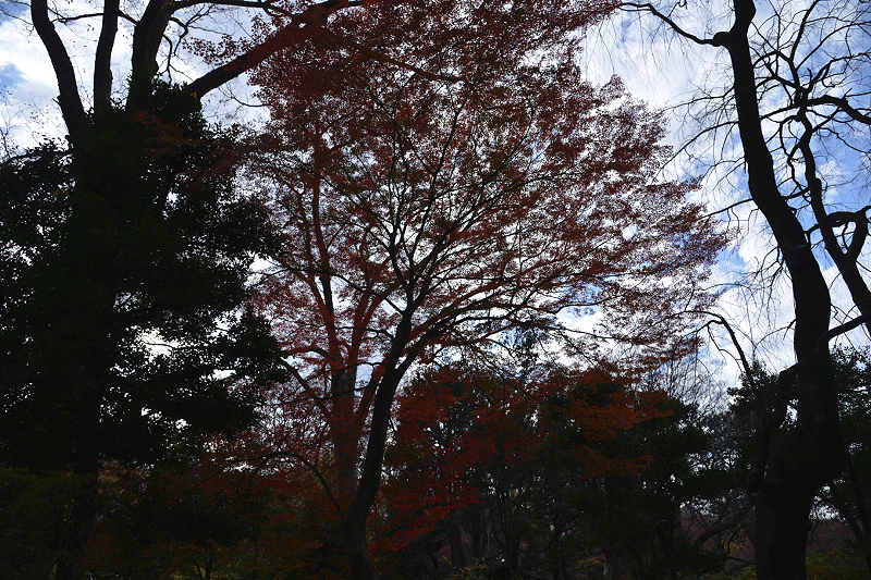 image0128