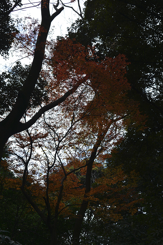 image0131