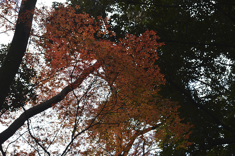 image0133