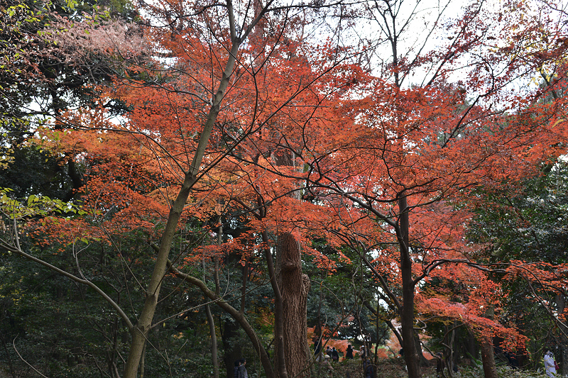 image0139