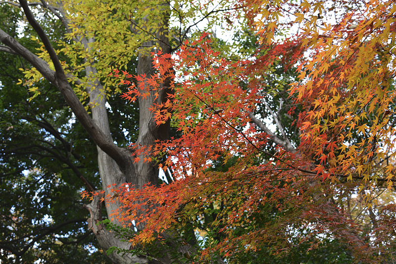 image0140
