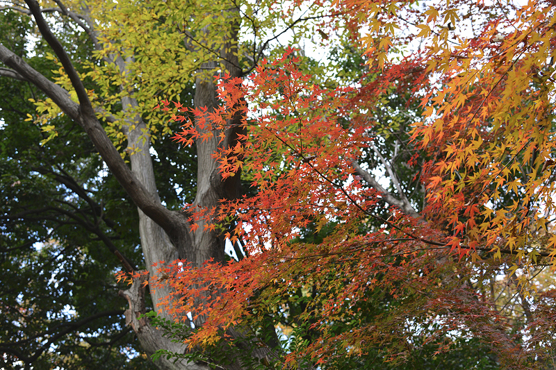 image0141
