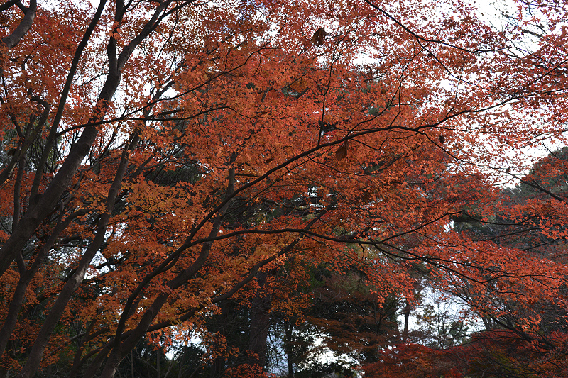 image0147
