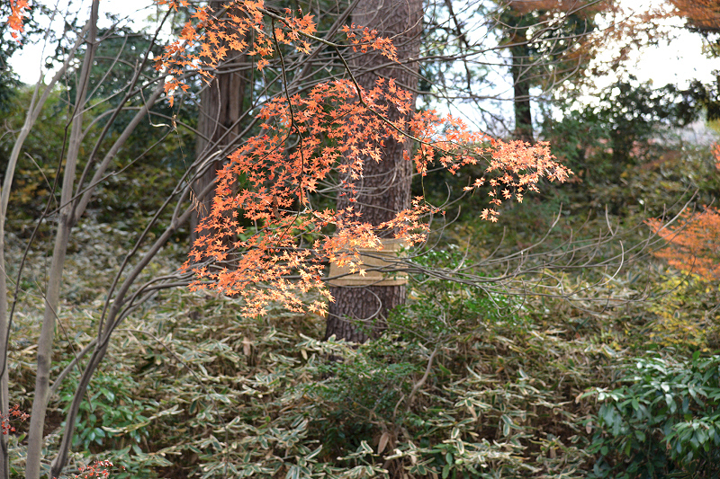 image0148