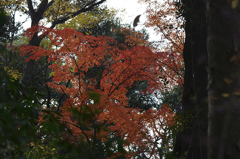 image0151