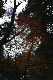 image0131