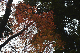 image0133