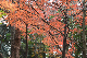 image0135