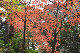 image0136