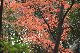 image0137