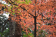 image0138
