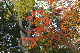 image0141