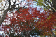 image0142
