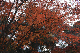 image0147