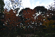 image0153